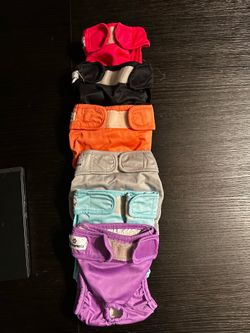 Female dog  diapers