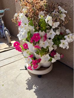 Flowers and pots included