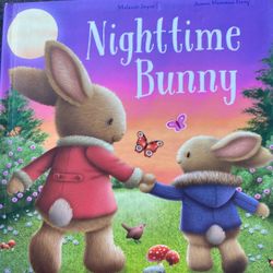 Night Time Bunny Book