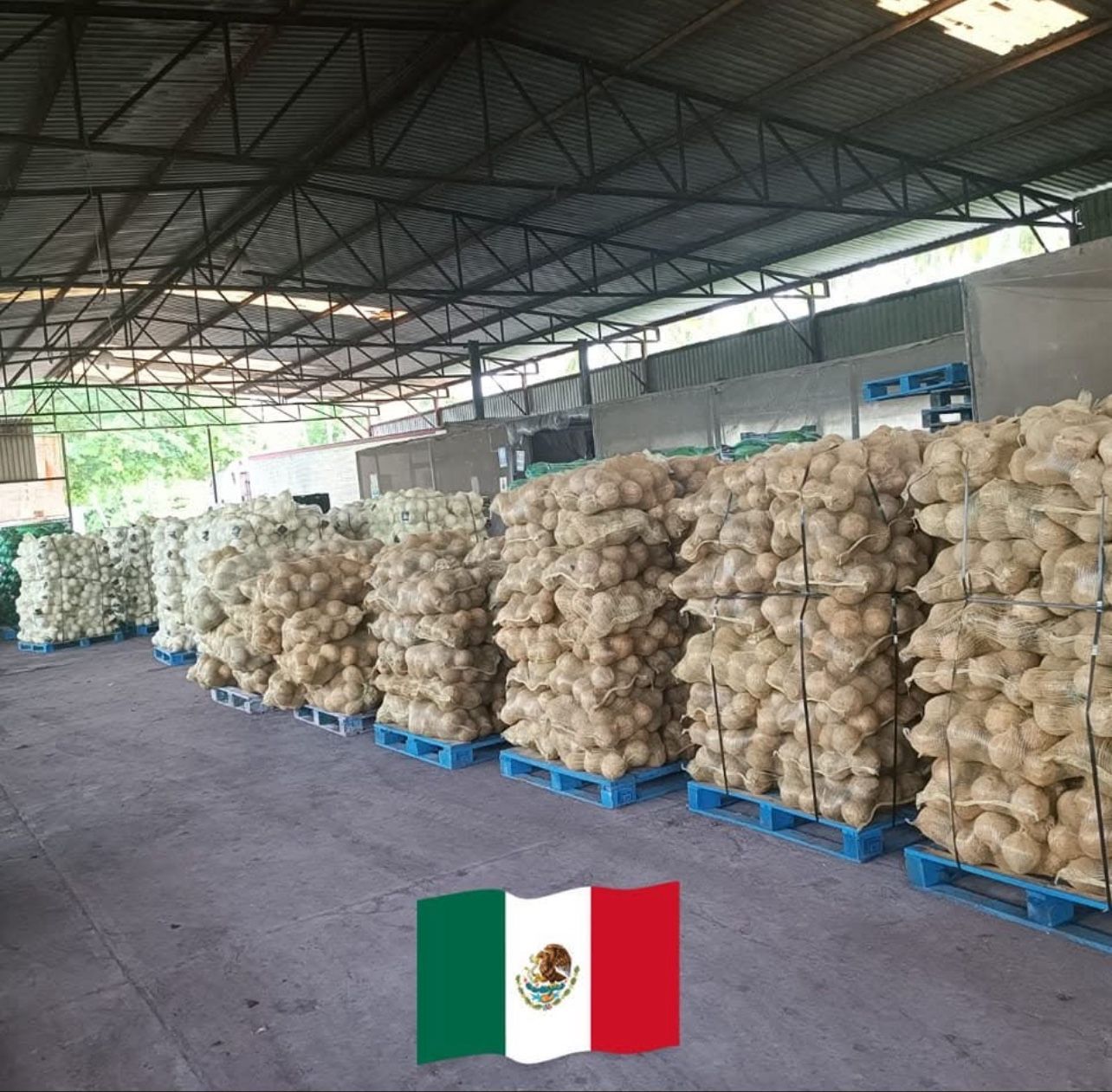 Wholesale Of Coconuts