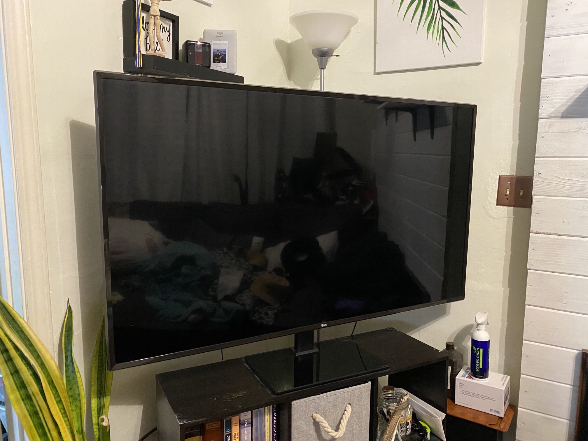 55 inch 4K LG SMART TV (2017)
