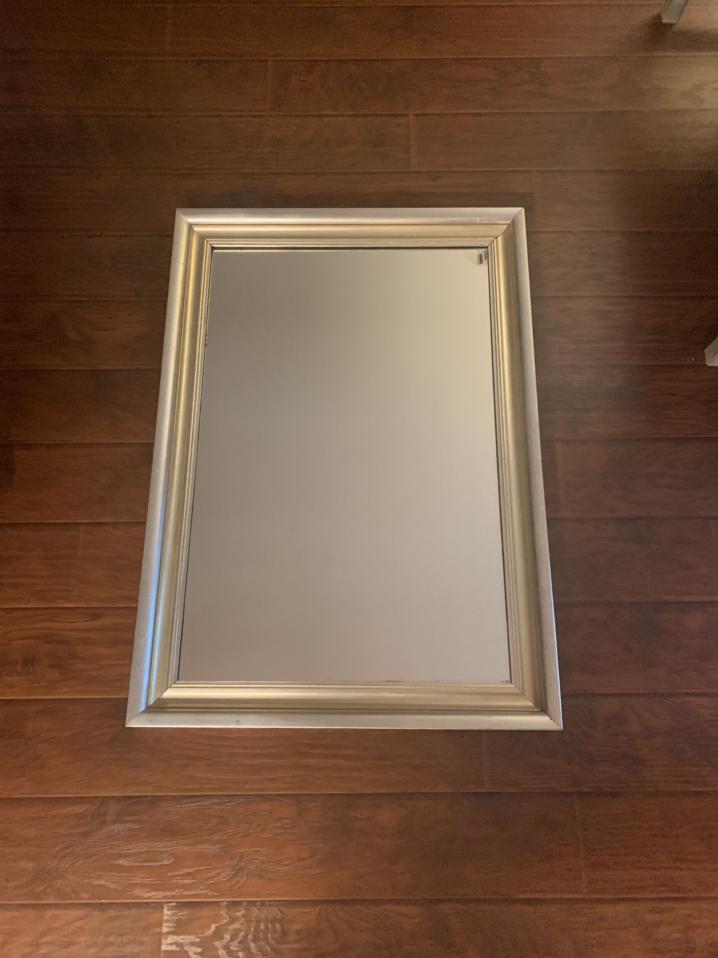 Large 3” Silver Leaf Frame With A Gold Cove 24 X 36”