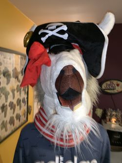 Lama costume