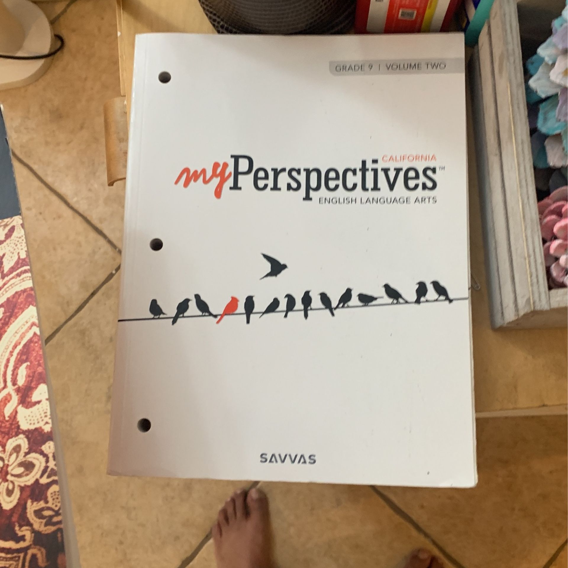 My Perspective English Language Arts & Inquest Cheever 2