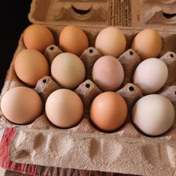 Organic Eggs