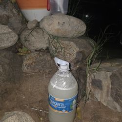 Pulquesito Fermentado Agua Miel Tierna