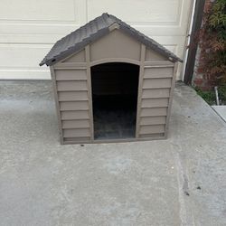 Dog House 