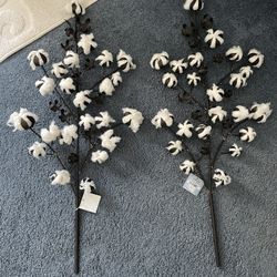 2 Cotton Stems