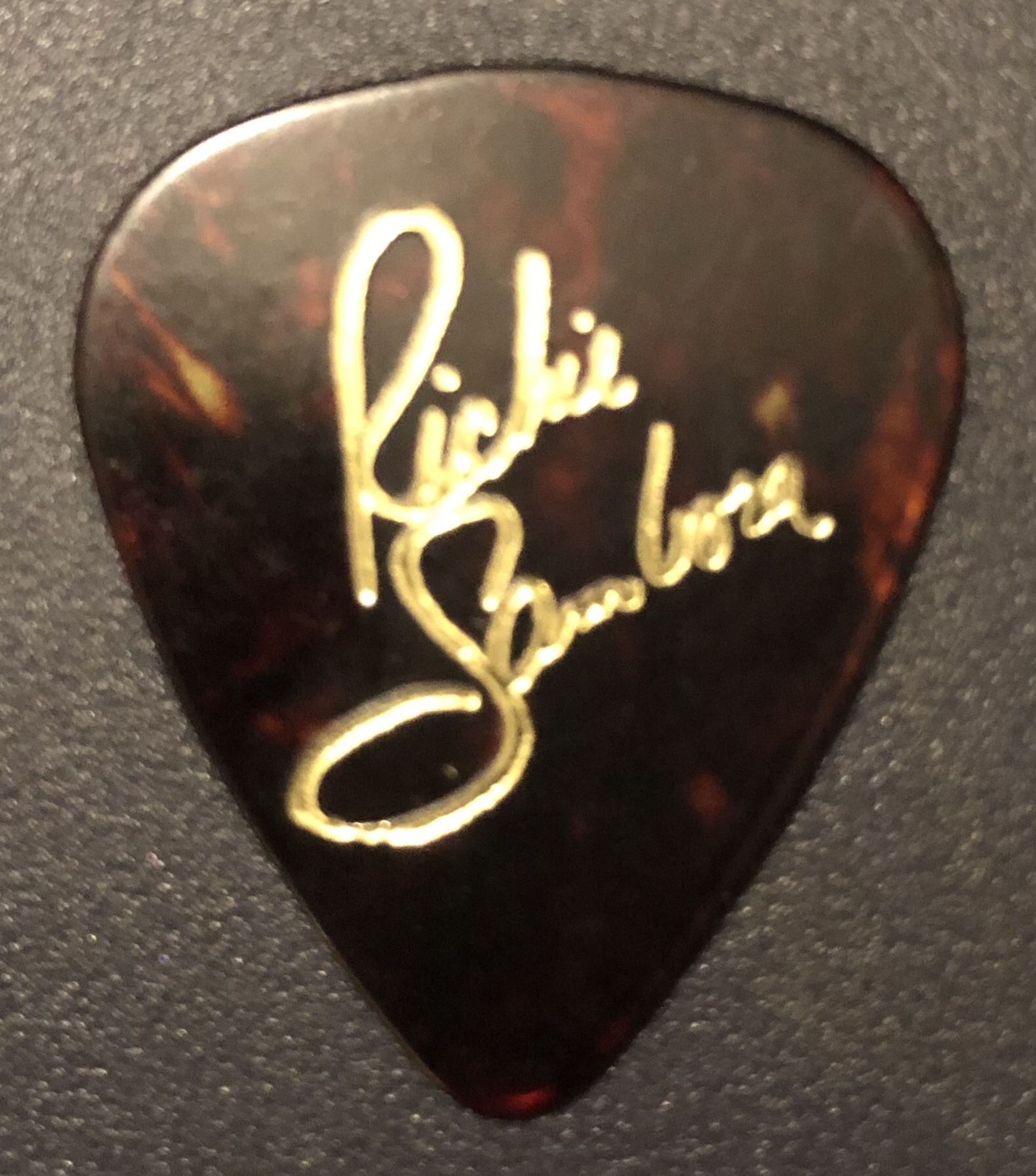 Bon Jovi/Richie Sambora signature guitar pick