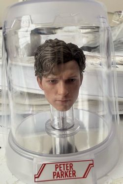 Spider-Man / Peter Parker artisan hot toys head