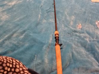 Fishing Rod