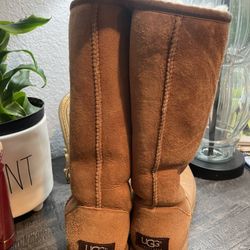 Uggs 