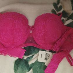 Pink Bras 34 B New Lace Push Up 
