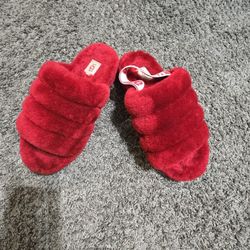 Ugg Slippers 