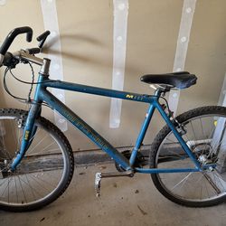 Cannondale 2005-2007? M600