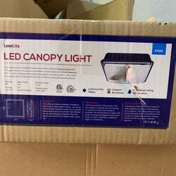 LED CANOPY LIGHT