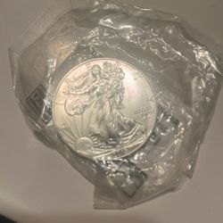 1oz silver Coin