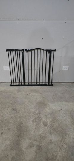 Auto Close Dog  Gate