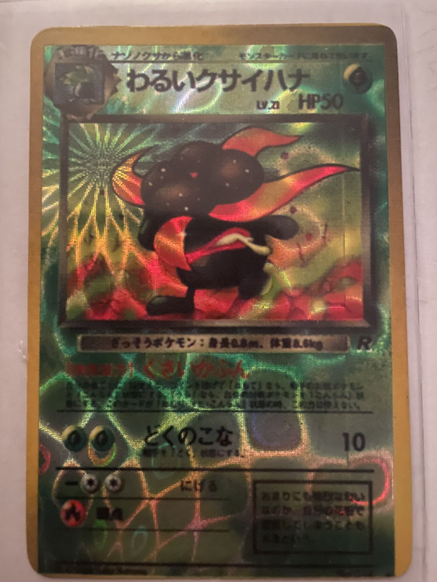 Vintage 1996 Holographic Pokémon Card/Sticker Collection