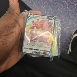 Pokemon Card Bluk