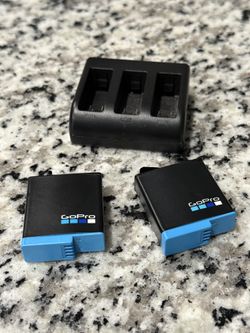 2 GoPro Enduro Batteries And Fast Charger