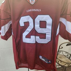 Arizona Cardinals  Jersey  # 29