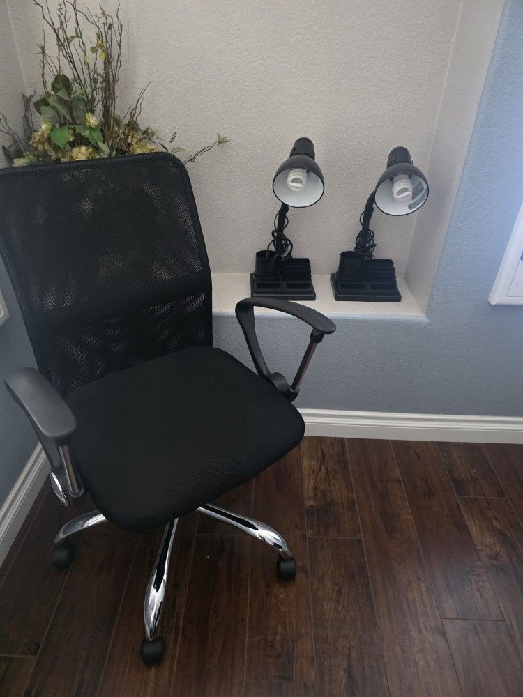 Office Ergo Chair/ 2 Lamps $40