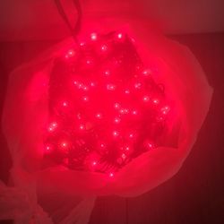 Free Red Christmas Lights