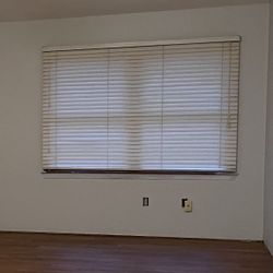 Window Blinds 