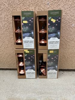 Indoor or outdoor lights