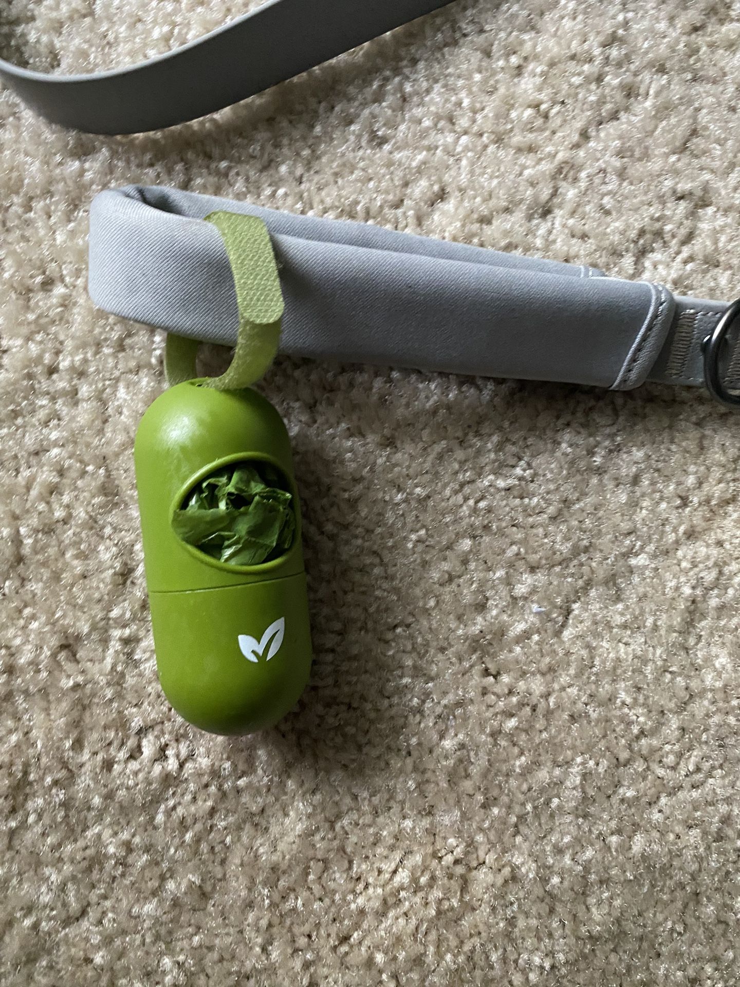 New! 6’ Silver Dog Leash