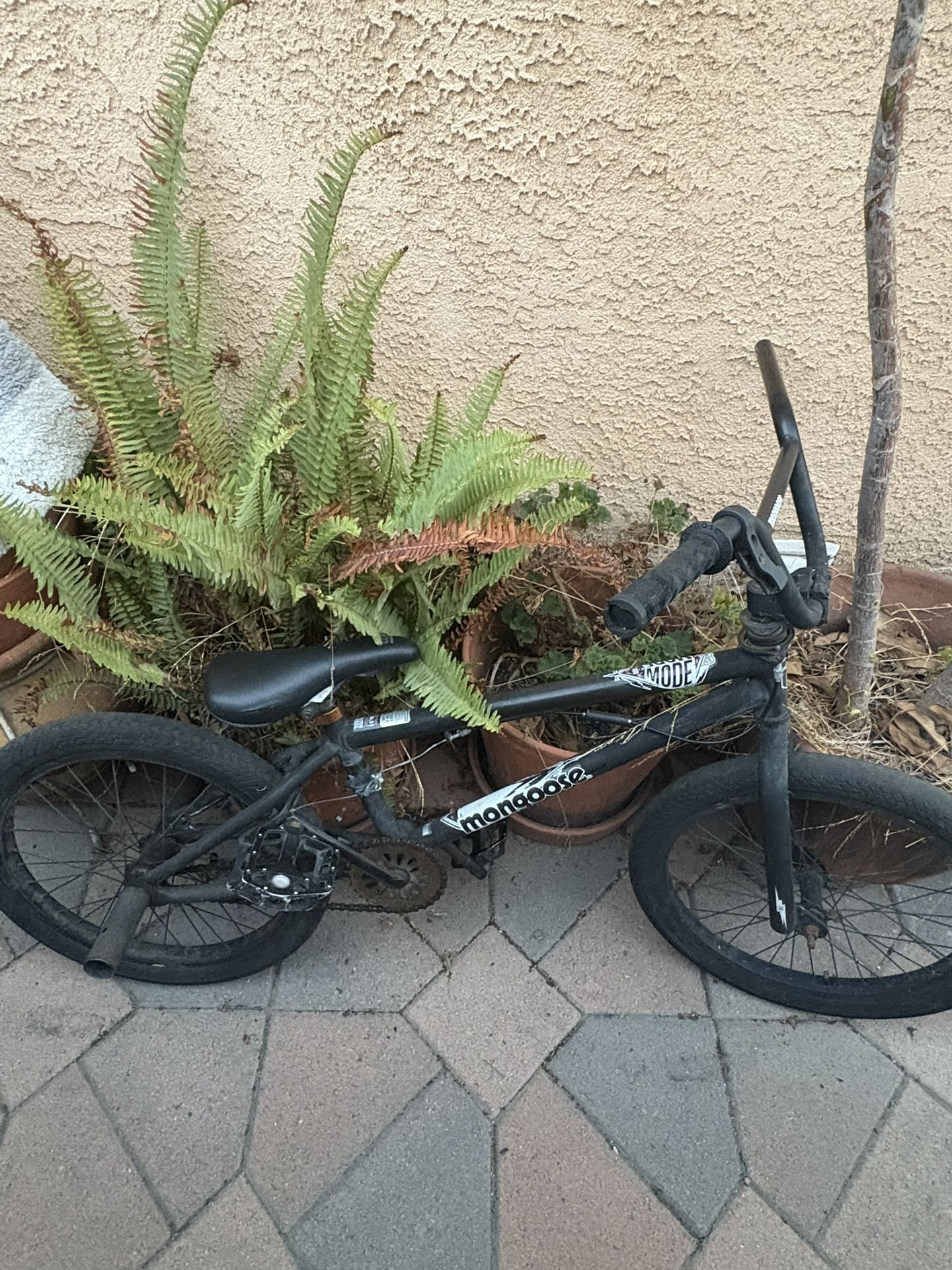 Mongoose Bike