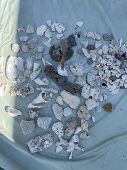 Aquarium Rocks And Shells