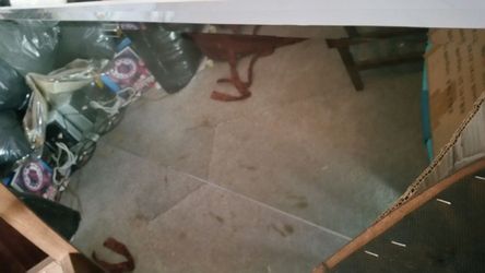 Closet mirrors doors