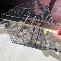 Birds Cage