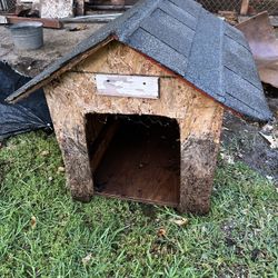 Dog House
