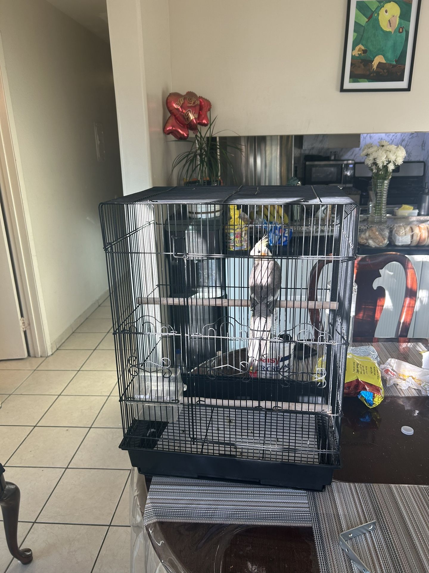 Bird Cage In New Condition