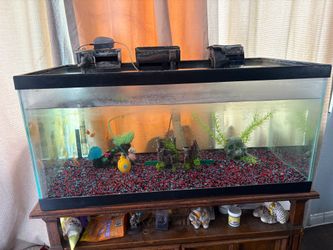 Big aquarium