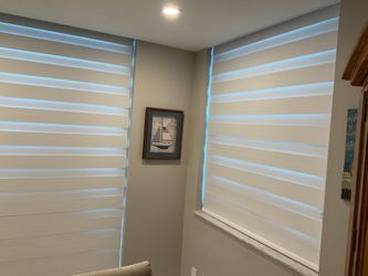 Zebra Blinds