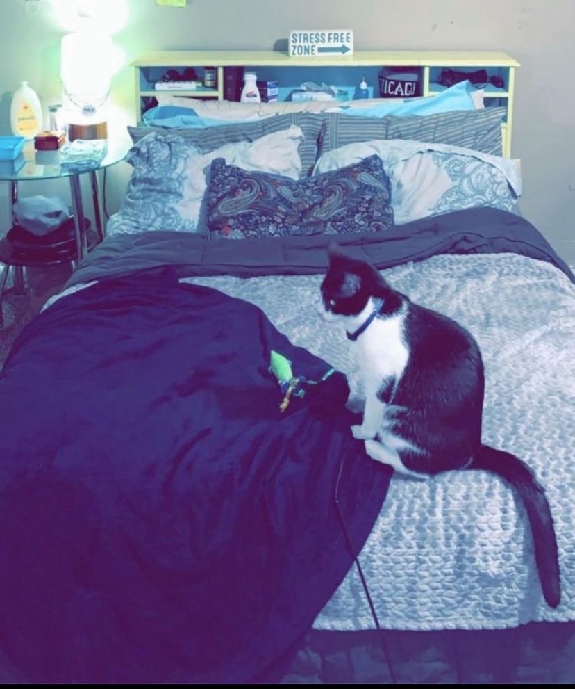 queen Size Bed Frame With Shelves