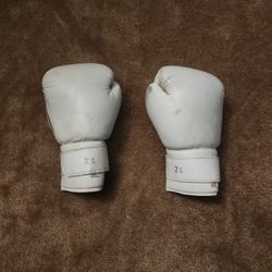 Plain White Boxing Gloves