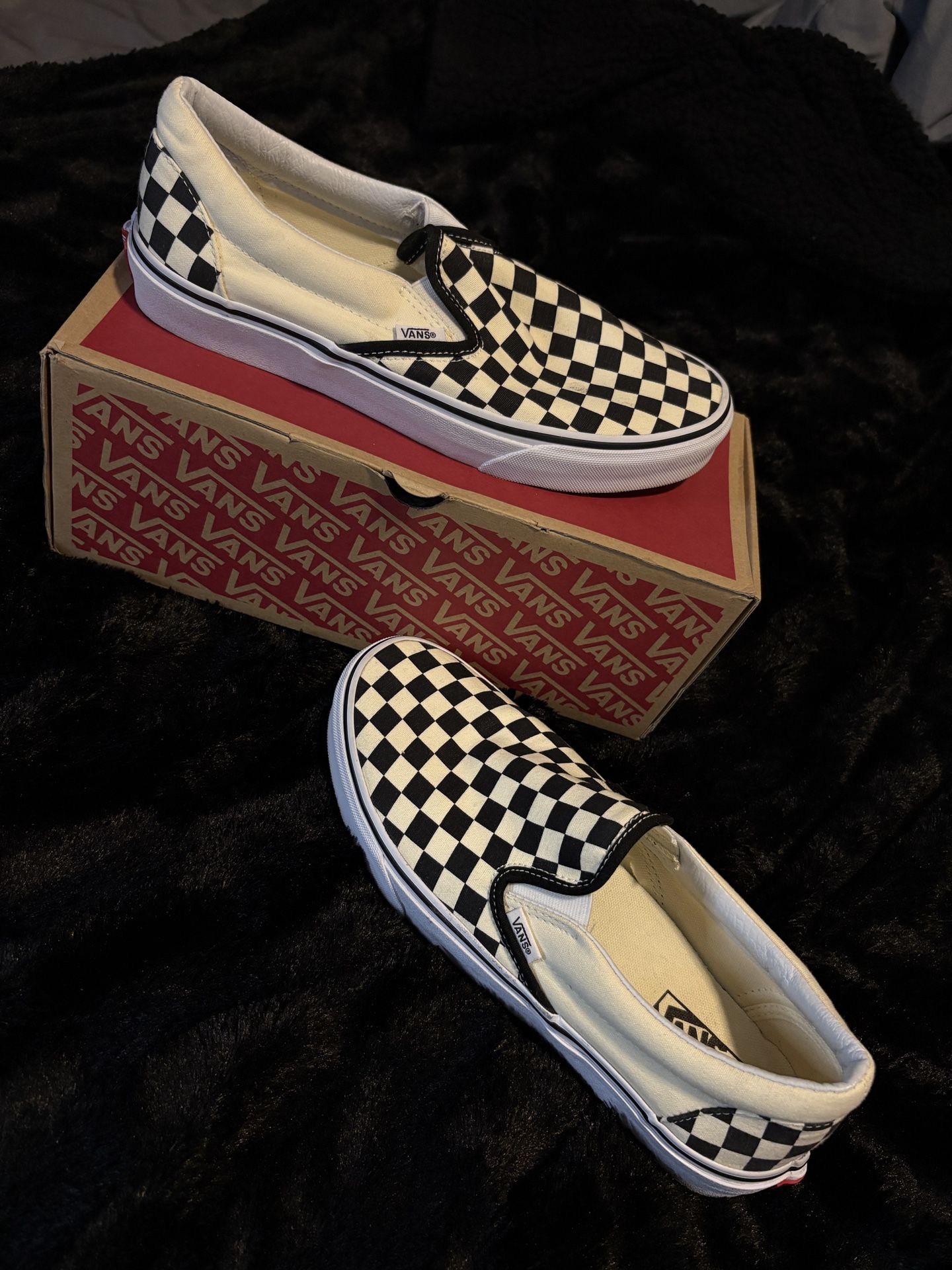 Vans (BRAND NEW)