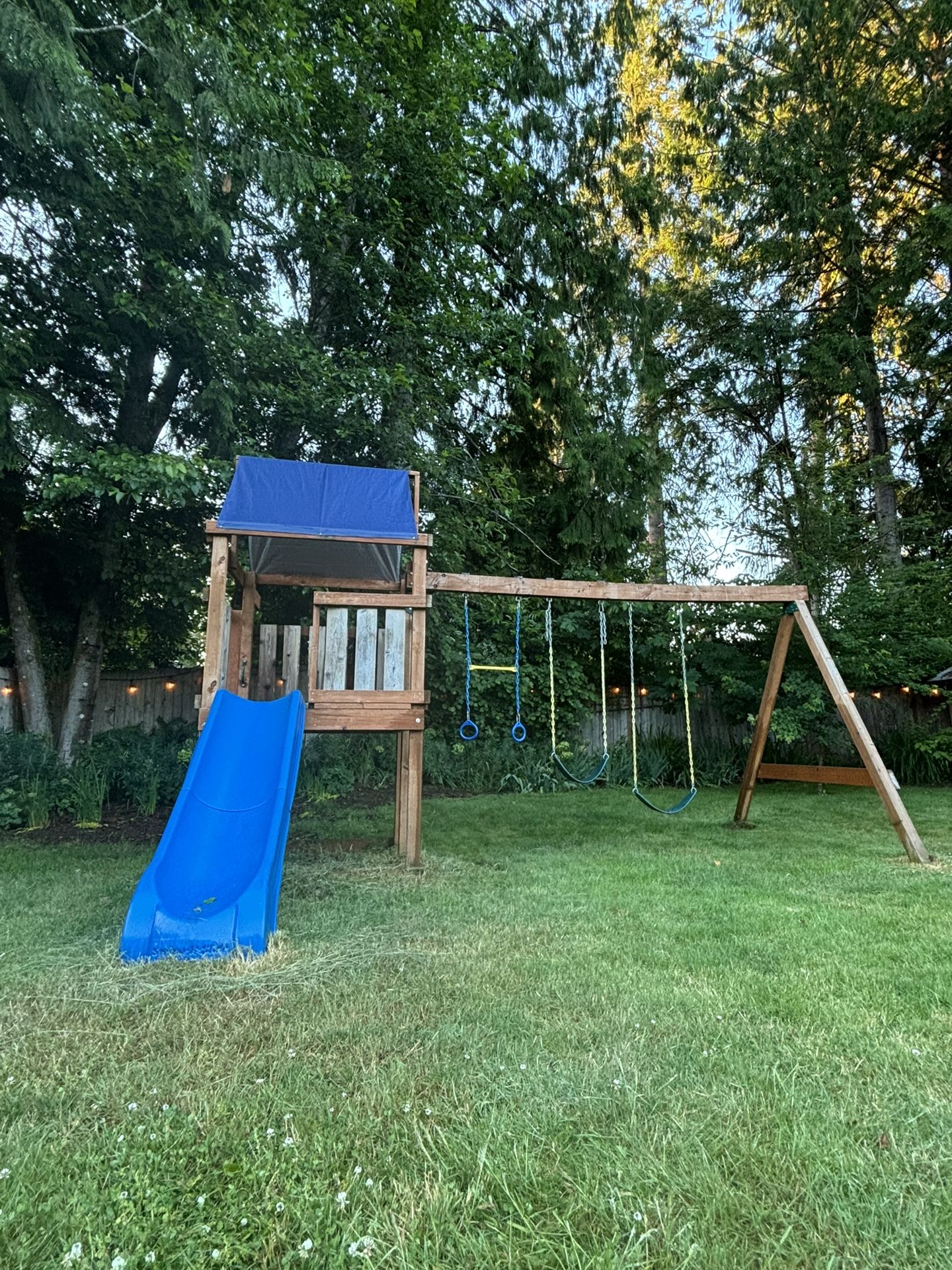 Play Structure With Slide And Swings