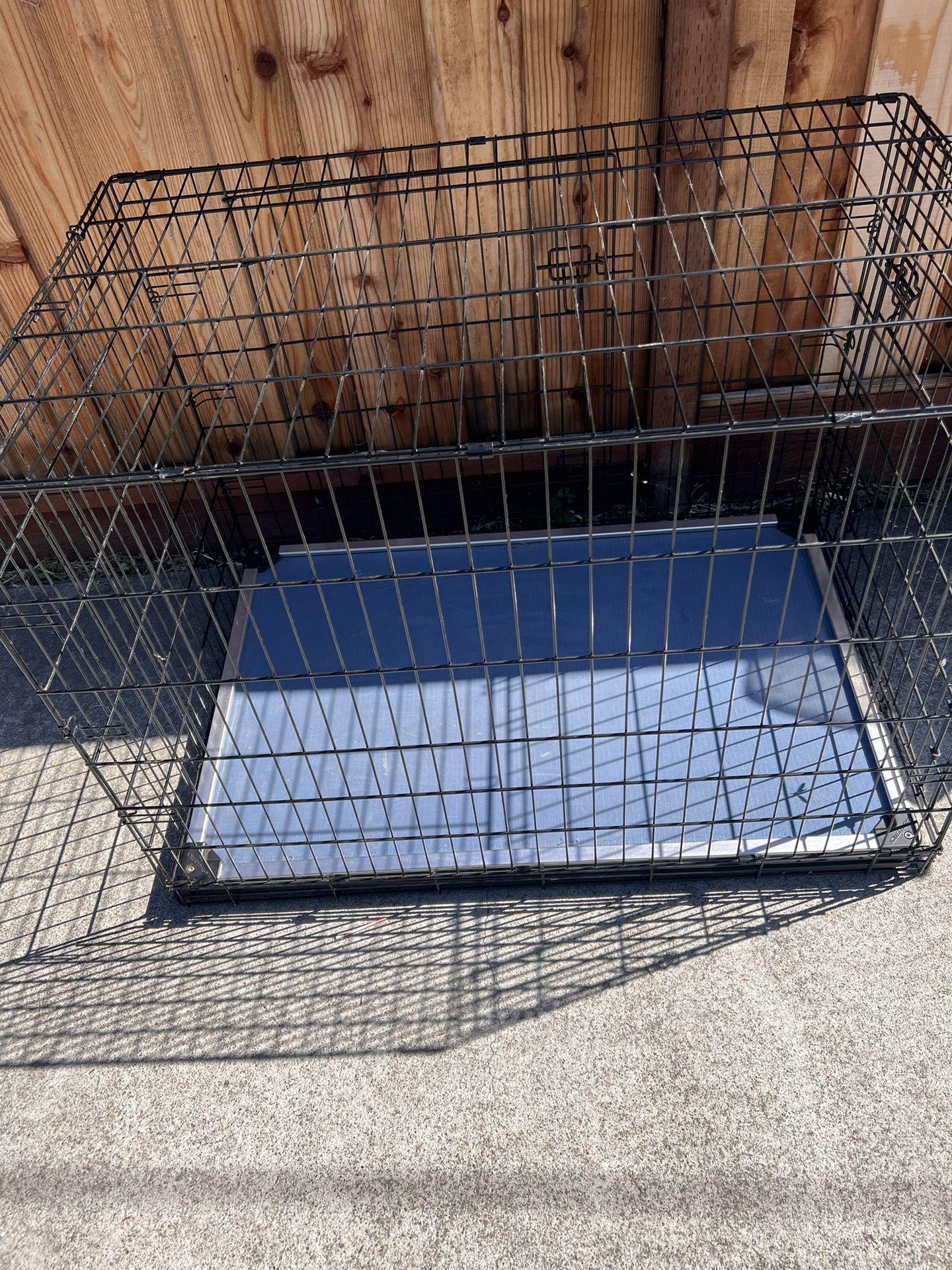 large dog caged with k9 tactical bed 