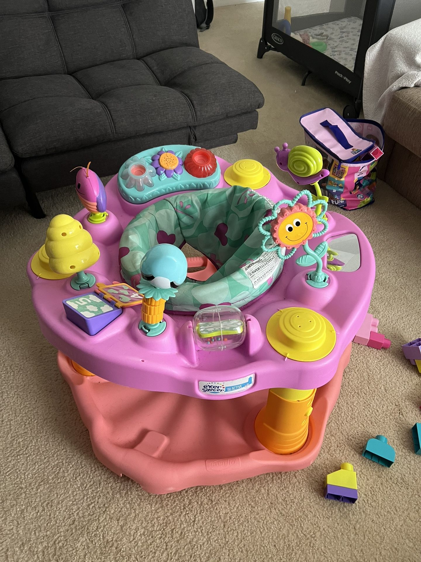 Baby ExerSaucer 