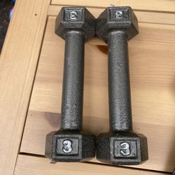 3 LB Metal Free Weights 