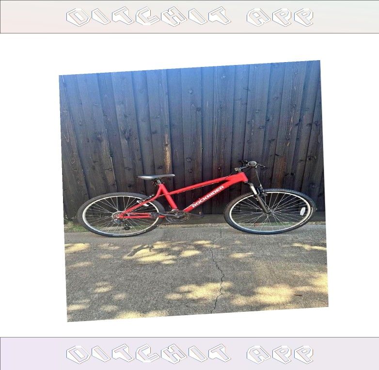 Adult Bicycle Comfortable Ride for Everyday Trips early stuff