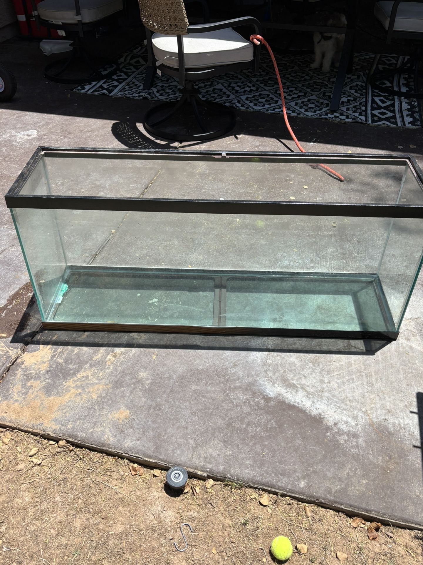 55 Gallon Fish Tank