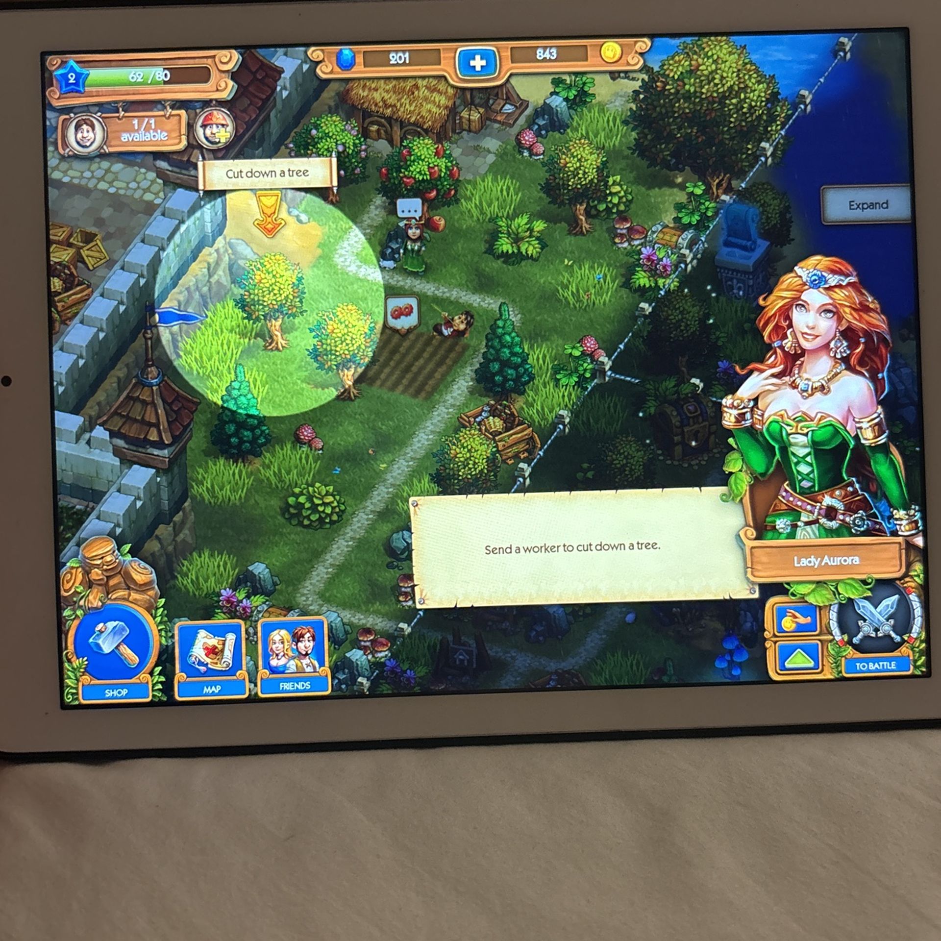 iPad Air