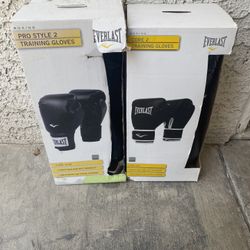 Everlast Boxing Gloves 